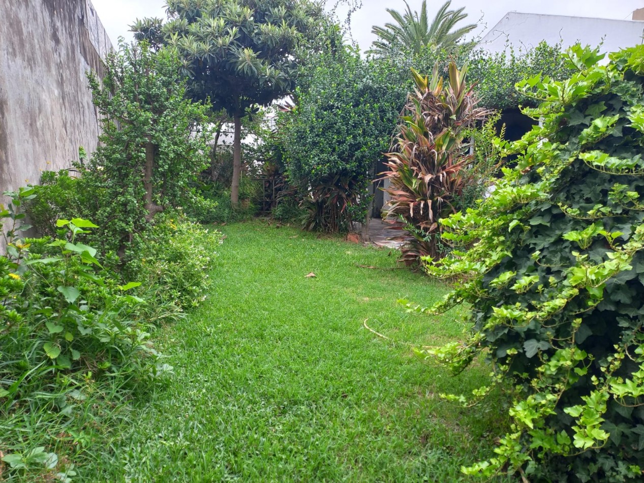 TERRENO DE 8.66 X 37MTS CON CASA 2/3 AMB MAS DEPENDENCIA. POSIBILIDADES DE AMPLIACION.