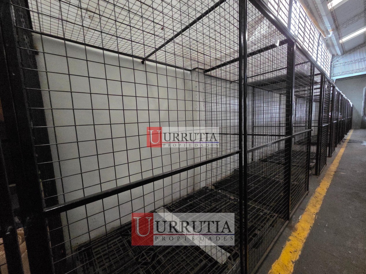 ALQUILER DE GALPON 8,66 X 34,64 EN MUNRO